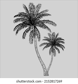 Dibujo y arte del vector de árbol de palmas, arte del material del logotipo y del material del icono, Ilustración