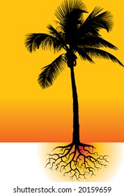 Palm tree vector background space for text