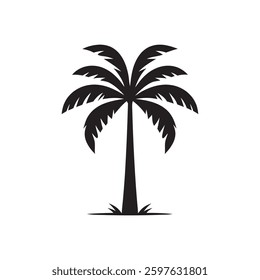 Palm tree vector black silhouette clipart.