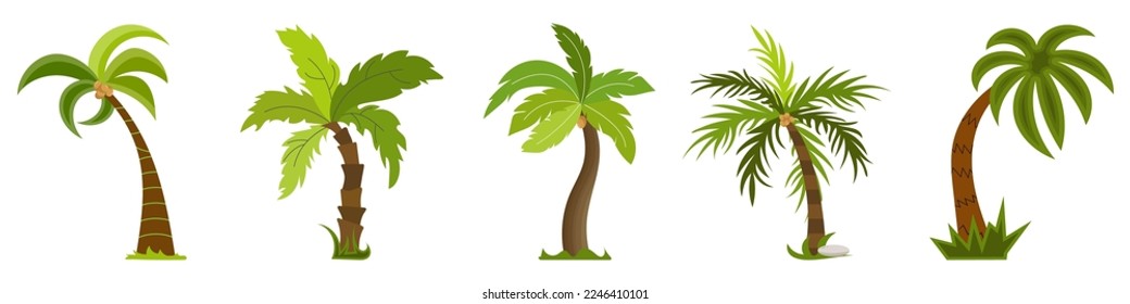 Palm tree vector collection in a flat style. Island forest. Tropical palm trees.