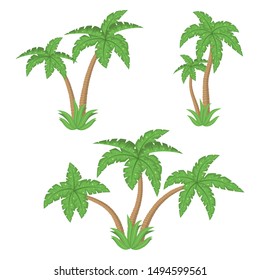 Palm tree vector design illustration isolated on white background
