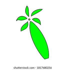 palm tree vector design illustration