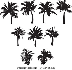 Palm tree vector elements. Black and white illustrations of palm trees. Summer mood, Miami. Elements for creating a seamless pattern, logo, banner on an isolated layer. Clip art.