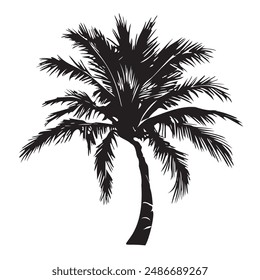 Palm tree vector elements. Black and white illustrations of palm trees. Summer mood, Miami. Elements for creating a seamless pattern, logo, banner on an isolated layer. Clip art.