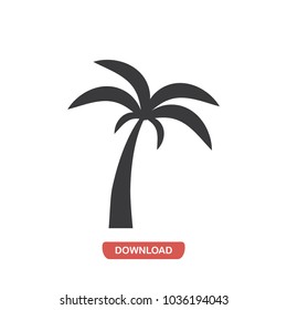 Palm tree vector icon