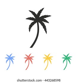Palm tree vector icon. Illustration isolated on white background for graphic and web design.