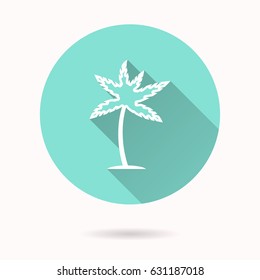 Palm tree vector icon. Illustration isolated for graphic and web design.