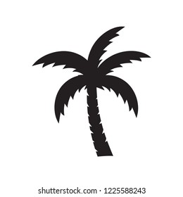 palm tree vector icon, palm tree logo template