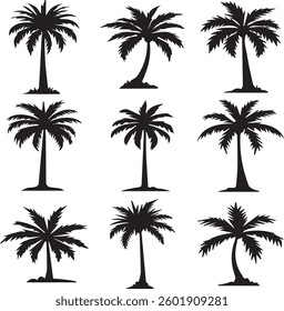 Palm tree vector icon set