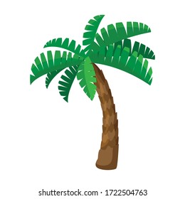 Palm tree vector icon.Cartoon vector icon isolated on white background palm tree.