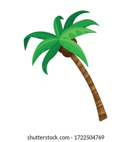 Palm tree vector icon.Cartoon vector icon isolated on white background palm tree.