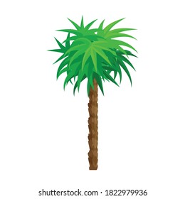 Palm tree vector icon.Cartoon vector icon isolated on white background palm tree.