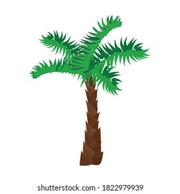 Palmenbaum, Vektorsymbol.Cartoon, Vektorsymbol einzeln auf weißem Hintergrund, Palme.