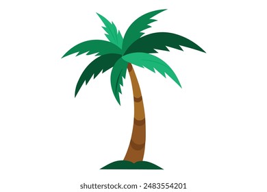 Palm tree vector illustration and artwork