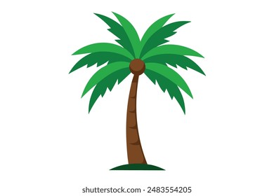 Palm tree vector illustration and artwork