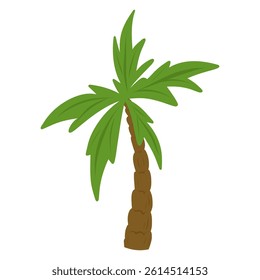 Palm tree vector illustration, palm tree for cards, designs, invitations, logos.