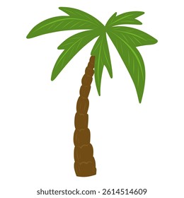 Palm tree vector illustration, palm tree illustration for cards, designs, invitations, logos.