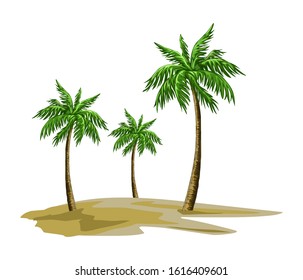 palm tree vector illustration, coconut trees by the beach.