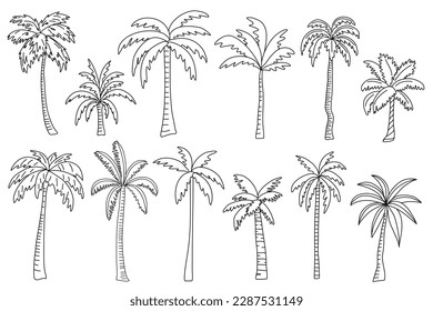 Palm tree vector illustration collection. Doodle hand drawn line ink style