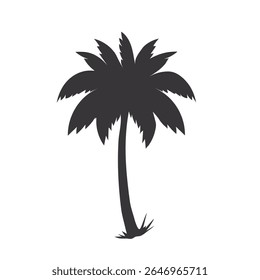 palm tree vector illustration design