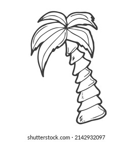 Palm tree vector illustration. Doodle style. Design, print, decor, textile, paper