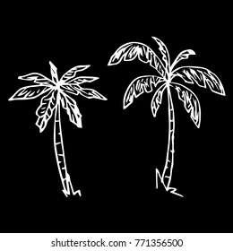 Palm Tree Vector Illustration. Doodle Style. Design, Print, Decor, Textile, Paper