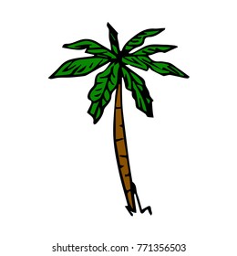 Palm tree vector illustration. Doodle style. Design, print, decor, textile, paper