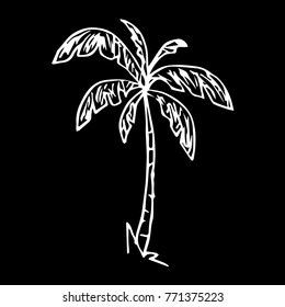 Palm tree vector illustration. Doodle style. Design, print, decor, textile, paper