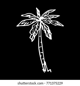 Palm tree vector illustration. Doodle style. Design, print, decor, textile, paper