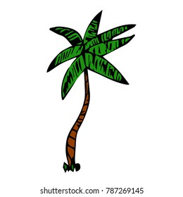 Palm tree vector illustration. Doodle style. Design, print, decor, textile, paper