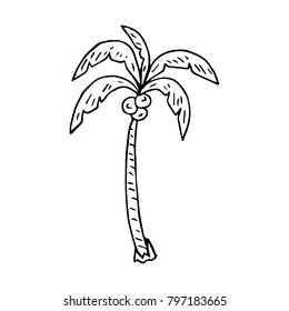 Palm tree vector illustration. Doodle style. Design, print, logo, decor, textile, paper.