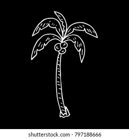 Palm tree vector illustration. Doodle style. Design, print, logo, decor, textile, paper.