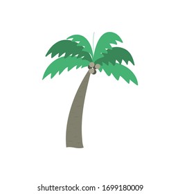 Palm tree, vector illustration isolated on whita background