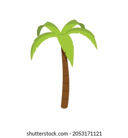 Palm tree vector illustration isolated on white background. 