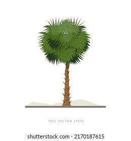 Palm tree vector illustration isolated on white background