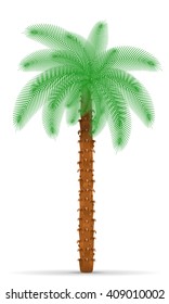 palm tree vector illustration isolated on white background