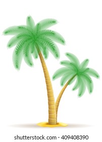 palm tree vector illustration isolated on white background