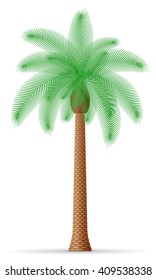palm tree vector illustration isolated on white background