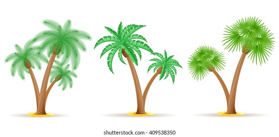 palm tree vector illustration isolated on white background