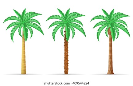 palm tree vector illustration isolated on white background
