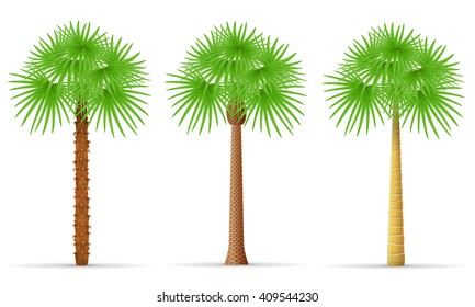 palm tree vector illustration isolated on white background