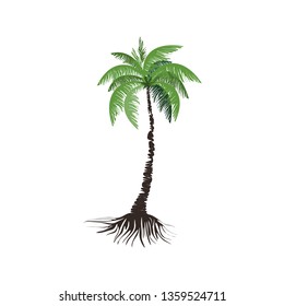 palm tree vector illustration suitable for logo and icon