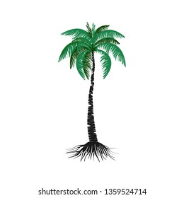 palm tree vector illustration suitable for logo and icon, coconut tree in hand drawn style.