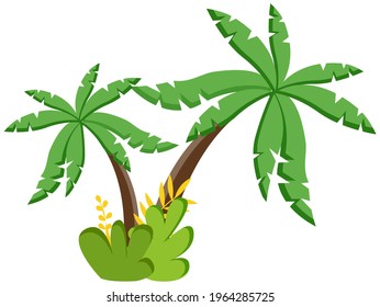 Palm tree vector illustration. Tropical plant coconut palm isolated on white background. Exotic evergreen tree grows on tropical islands in warm countries, symbol of warmth, relaxation and vacation