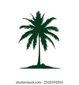 Palm tree vector illustration,  illustration of a palm tree with a white background