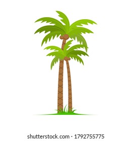 Palm tree vector island coconut cartoon icon. Palmtree island desert isolated tropical icon