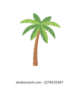 Palm tree vector isolated on white background