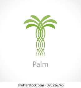 palm tree. vector logo template