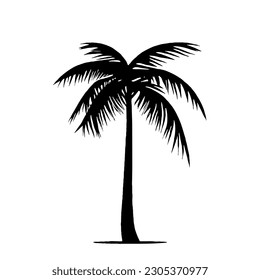 Palm Tree Vector Minimal Line Summer Art with no White Background