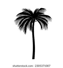 Palm Tree Vector Minimal Line Summer Art with no White Background